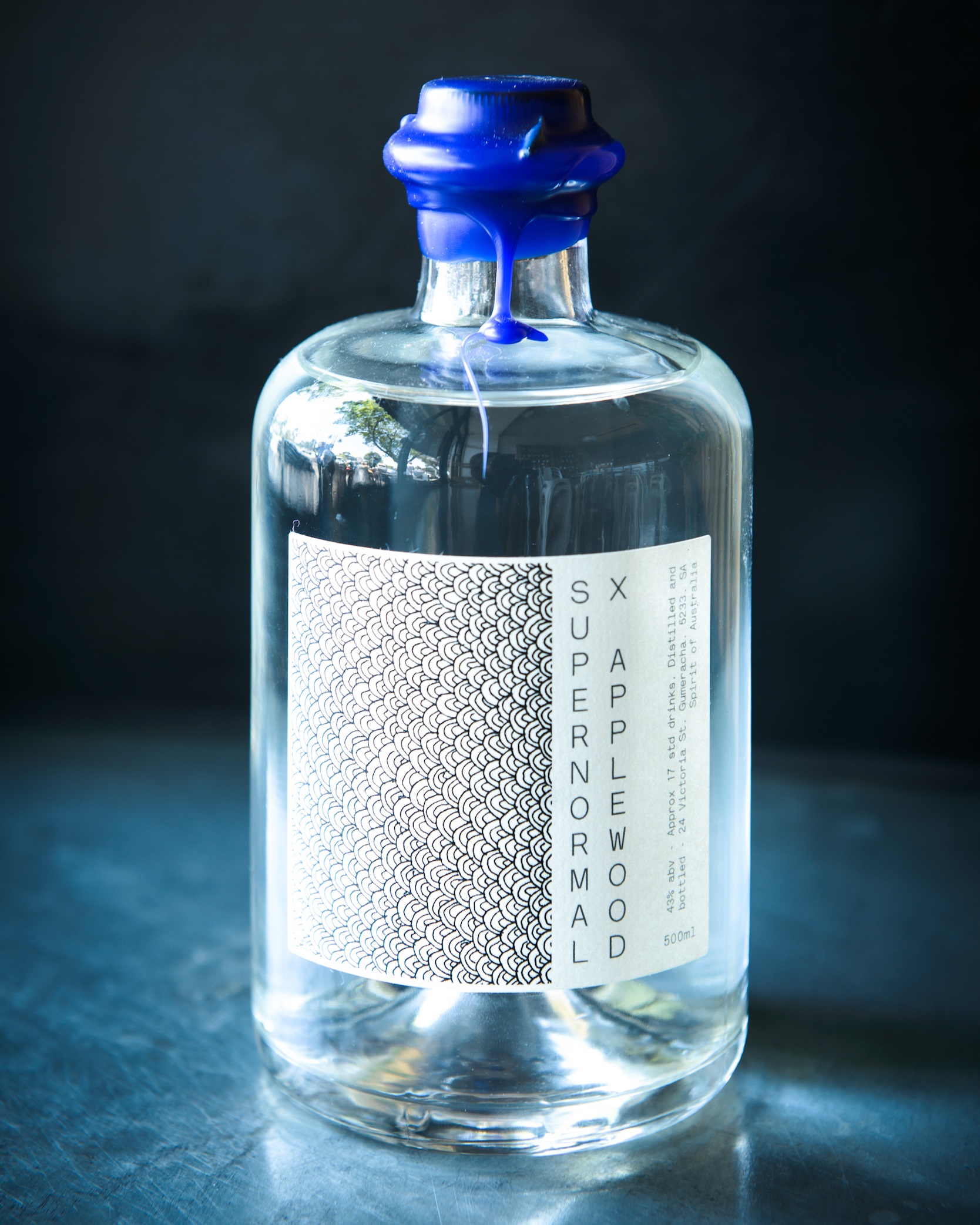 Gin+resized+for+Web.jpg