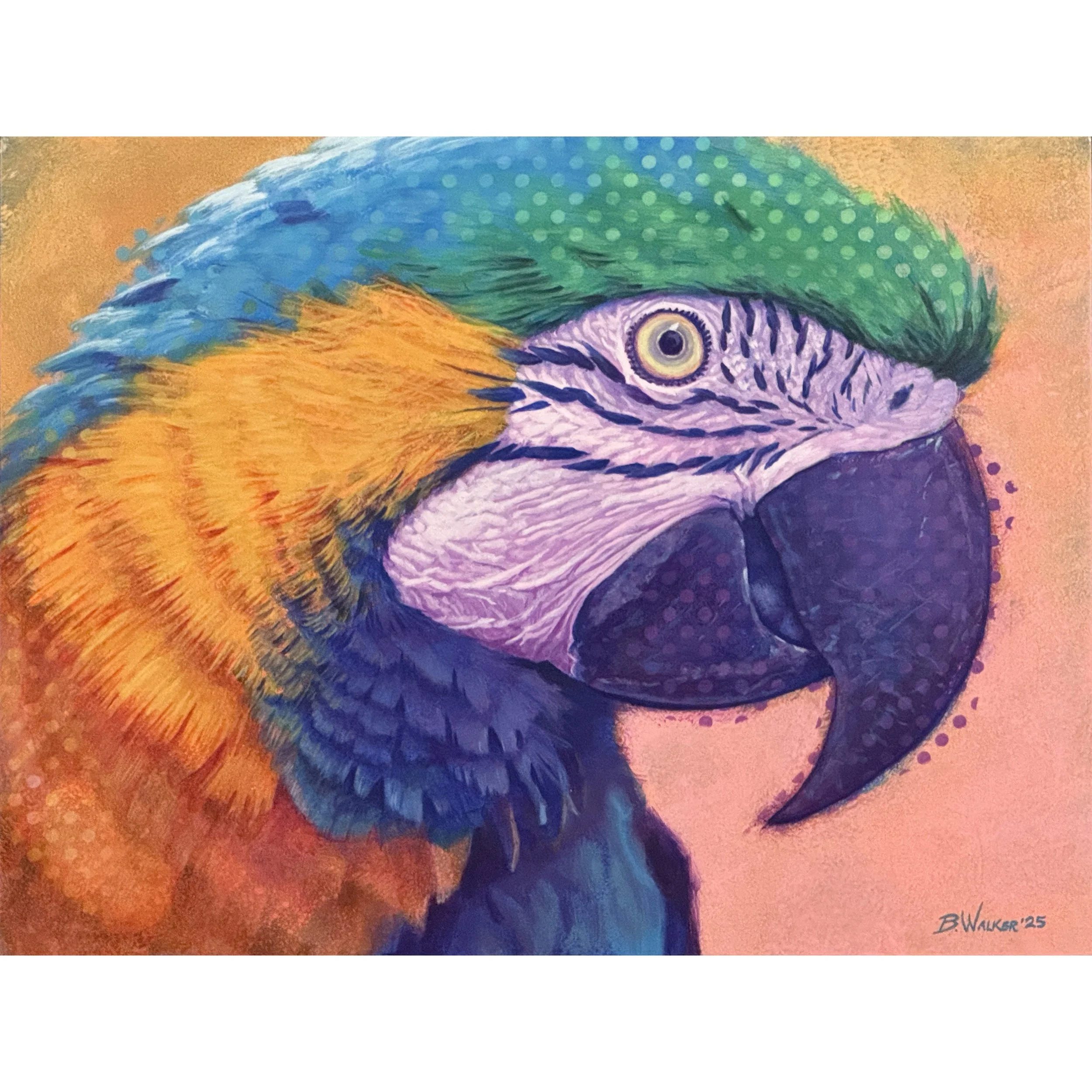 Macaw.1 - print
