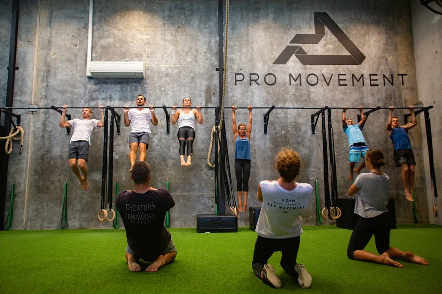 PM-Pull-Up-1-900.jpg