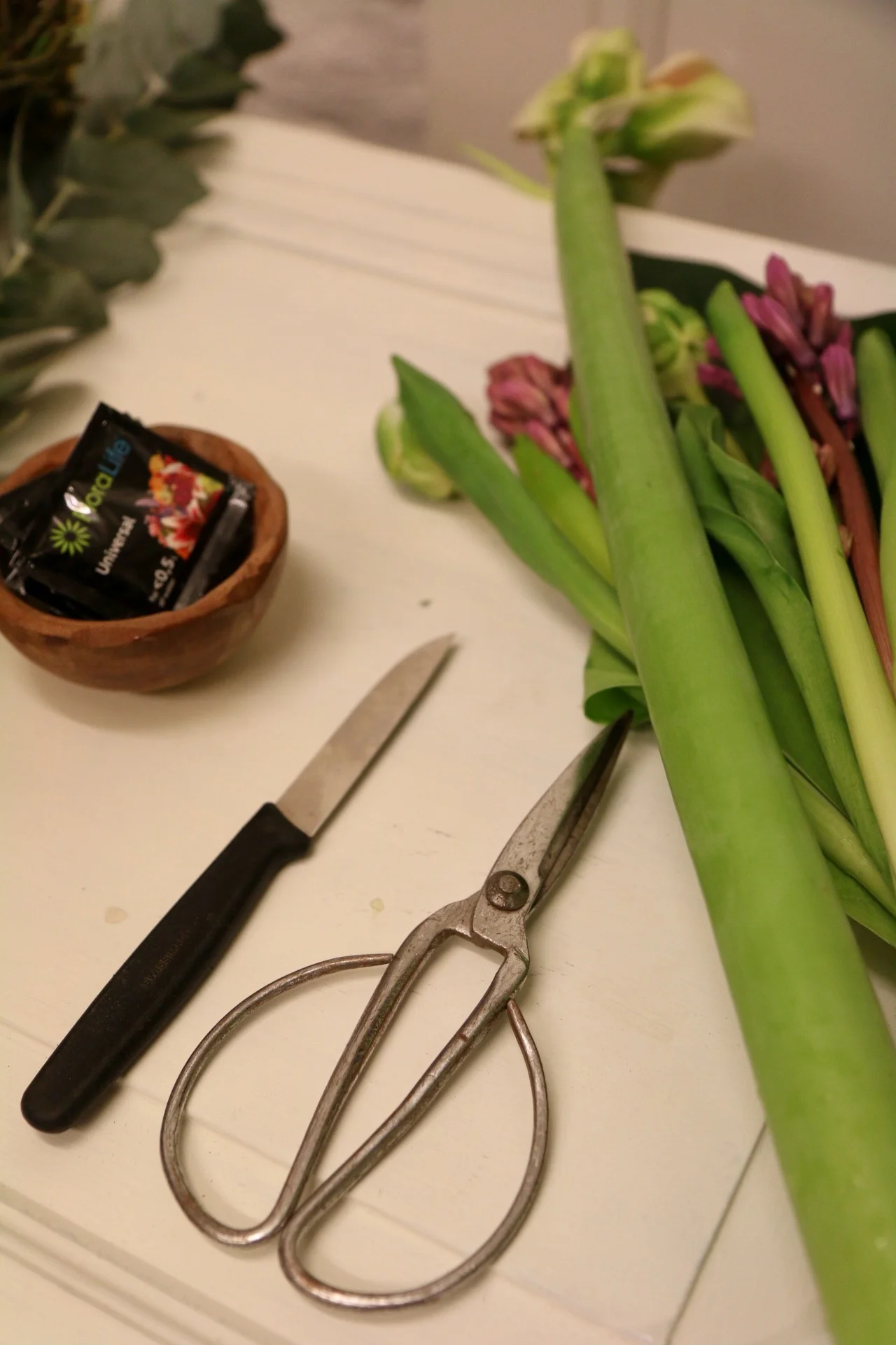 Pitkän iän salaisuus