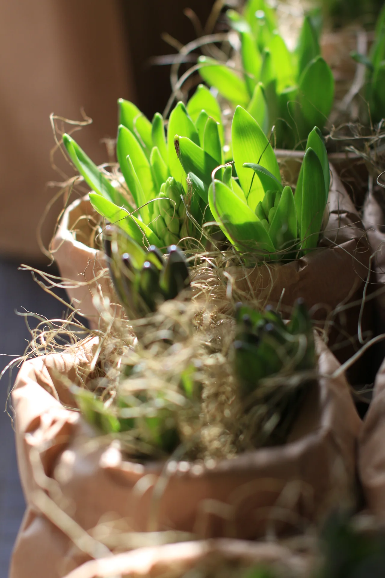 Pääsiäisen herkut