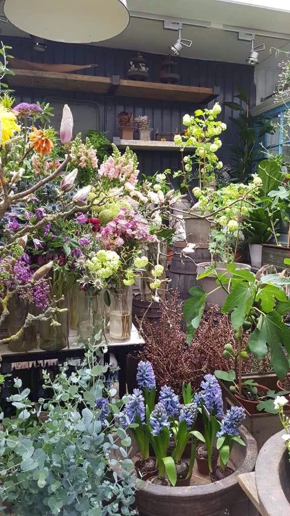 Piian kukkaterveiset Kööpenhaminasta