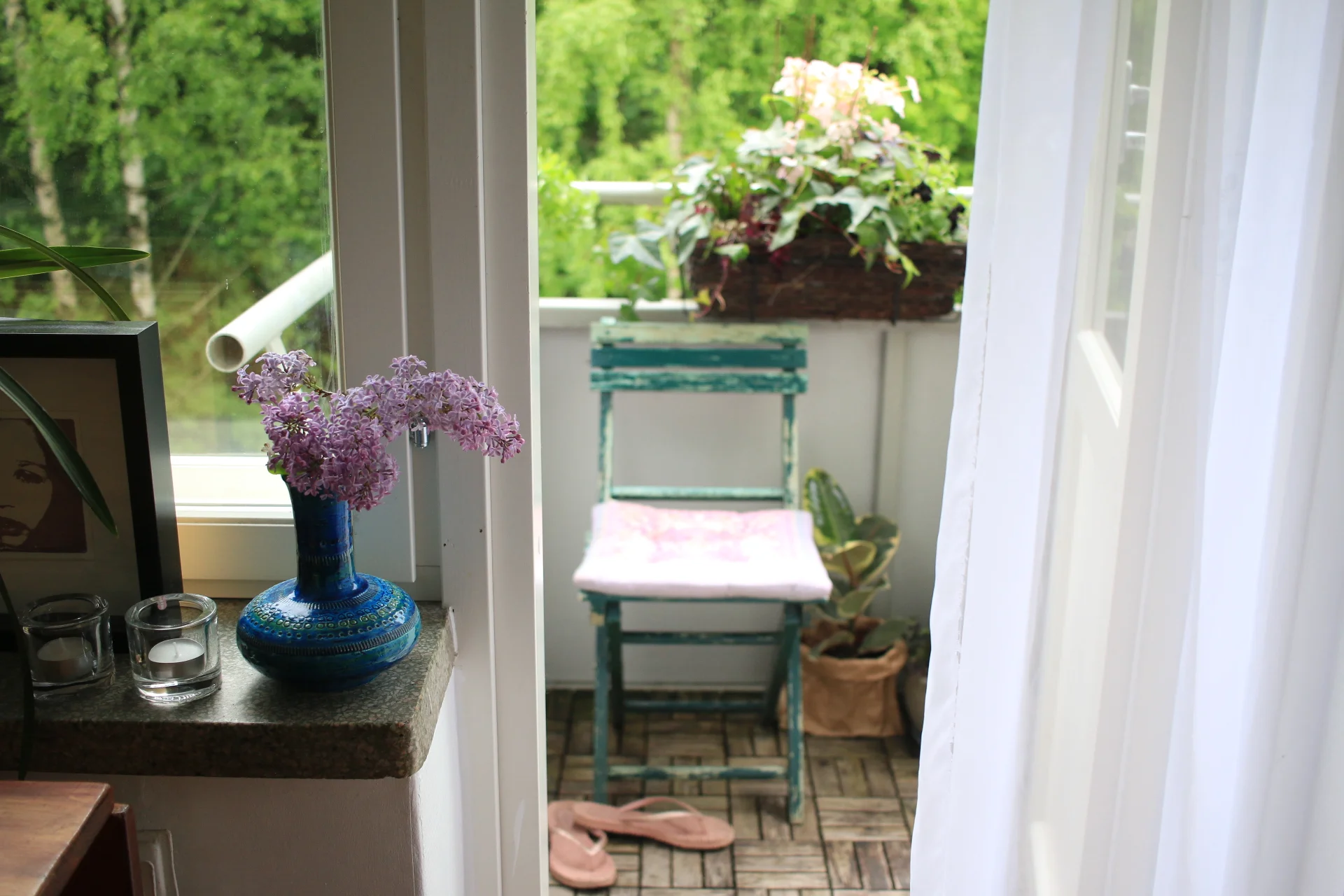 Auringossa Kakolan varjossa