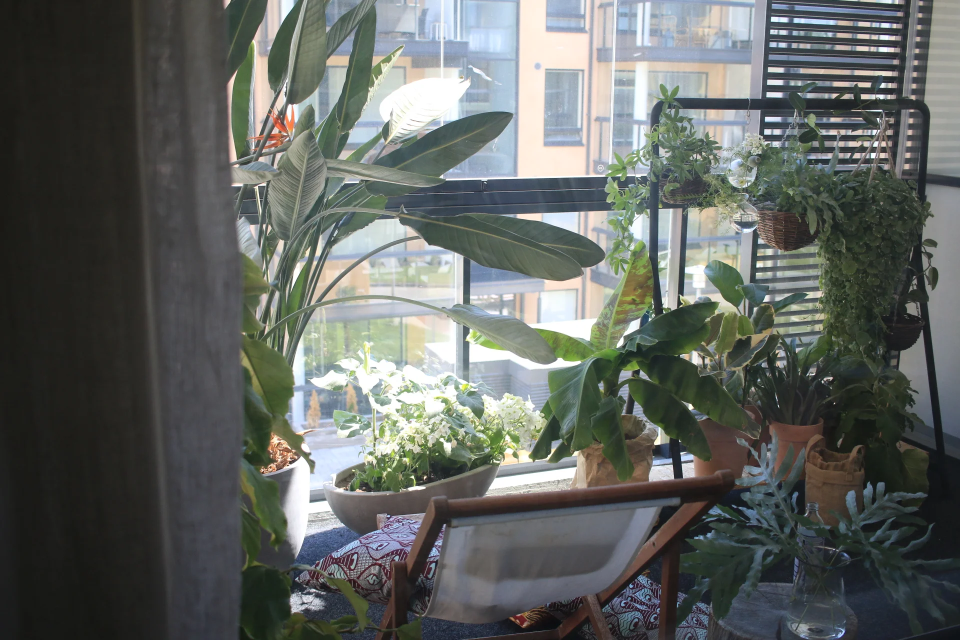 Villisti vehreä parveke