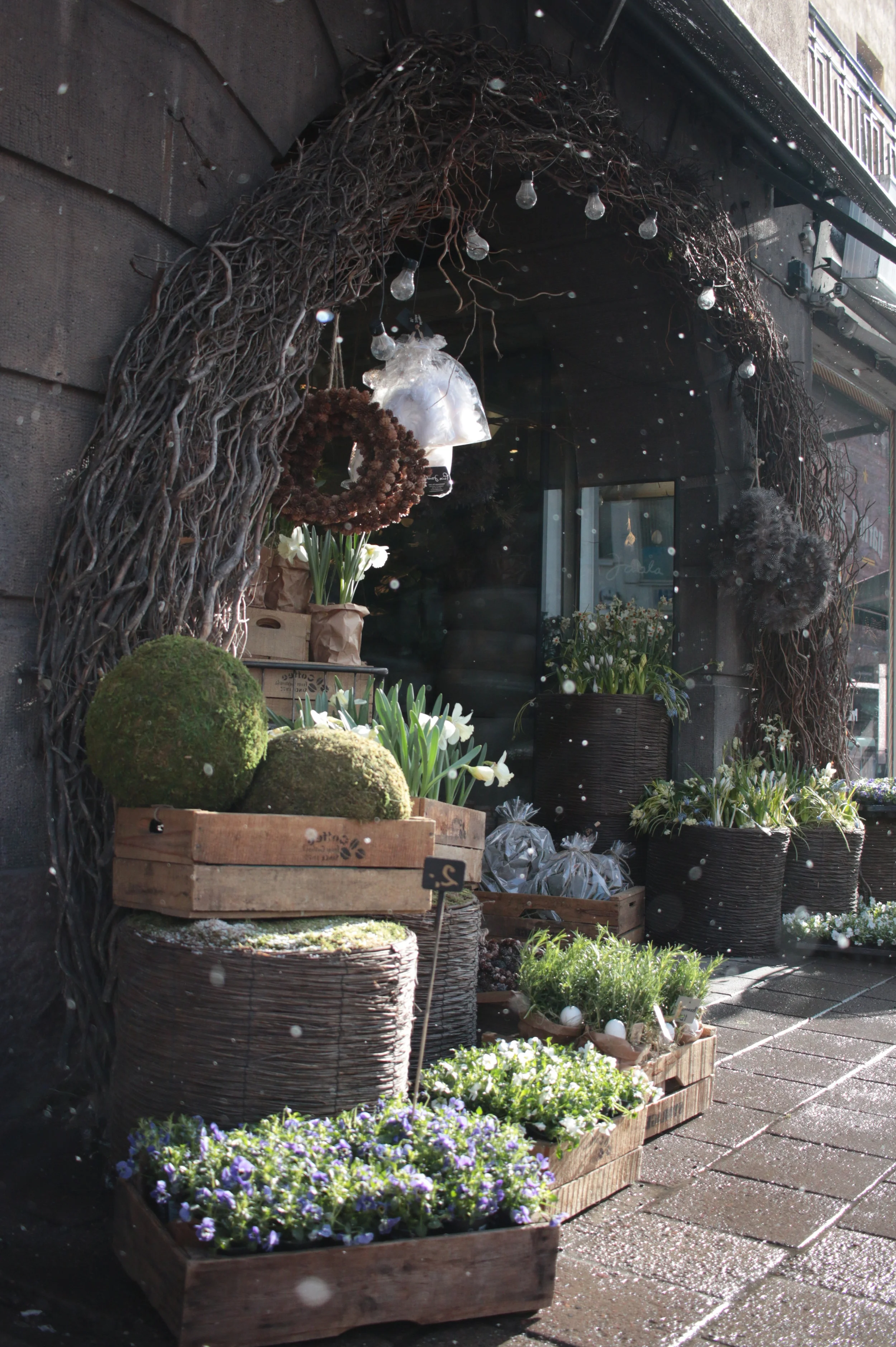 Mietteitä yrittäjyydestä