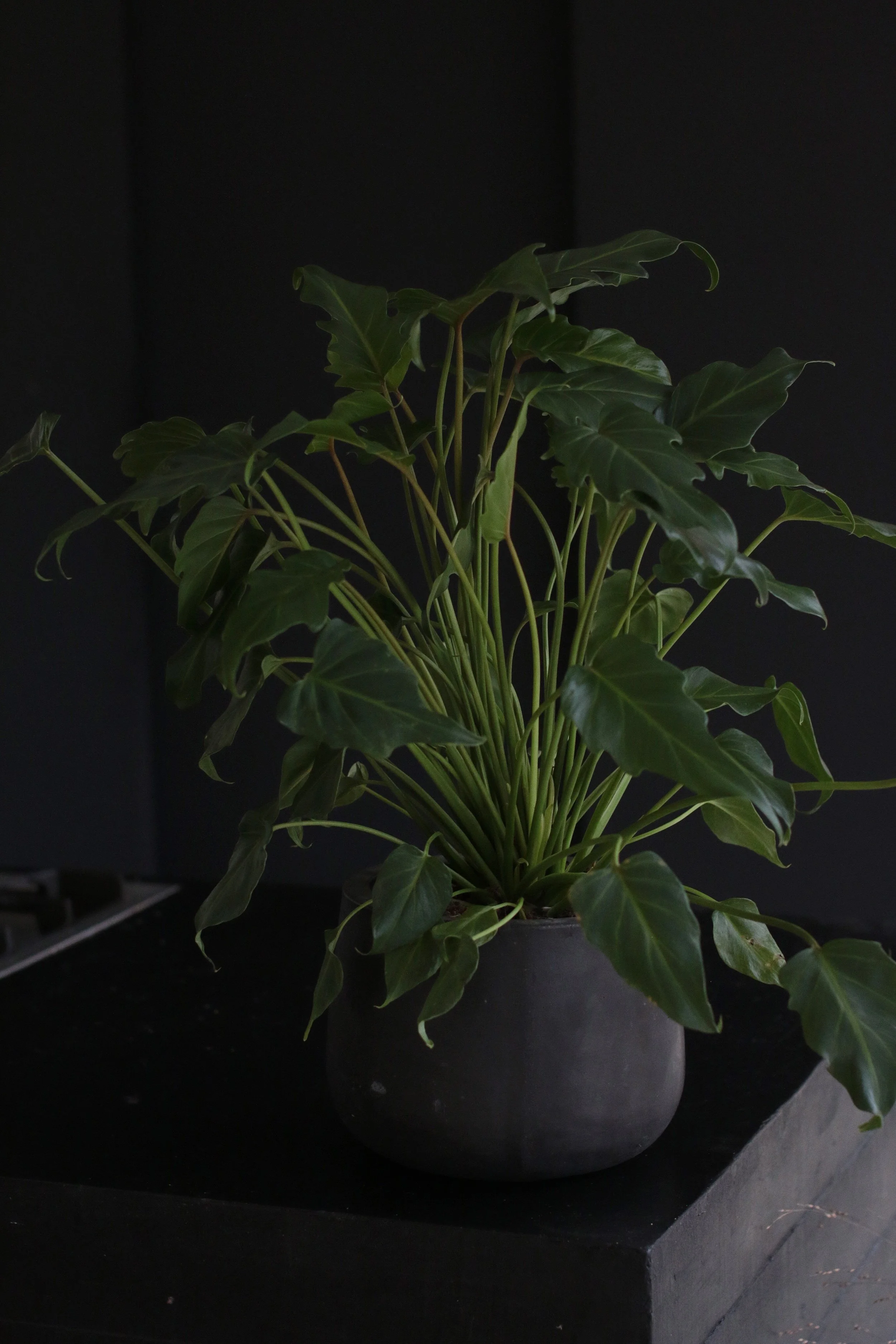 Ideoita vihreämpään kylpyhuoneeseen