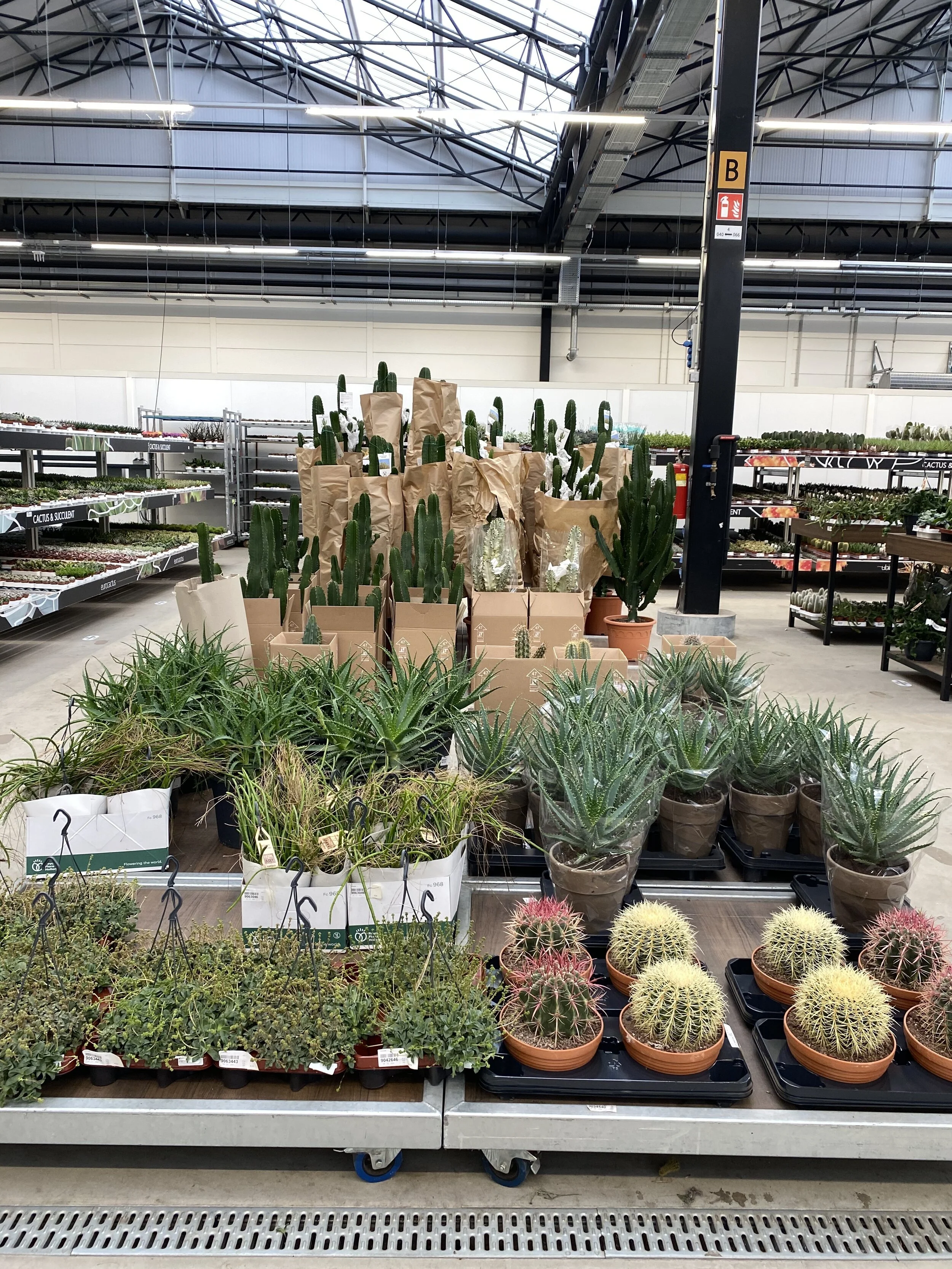 Terveiset Amsterdamista  1/3