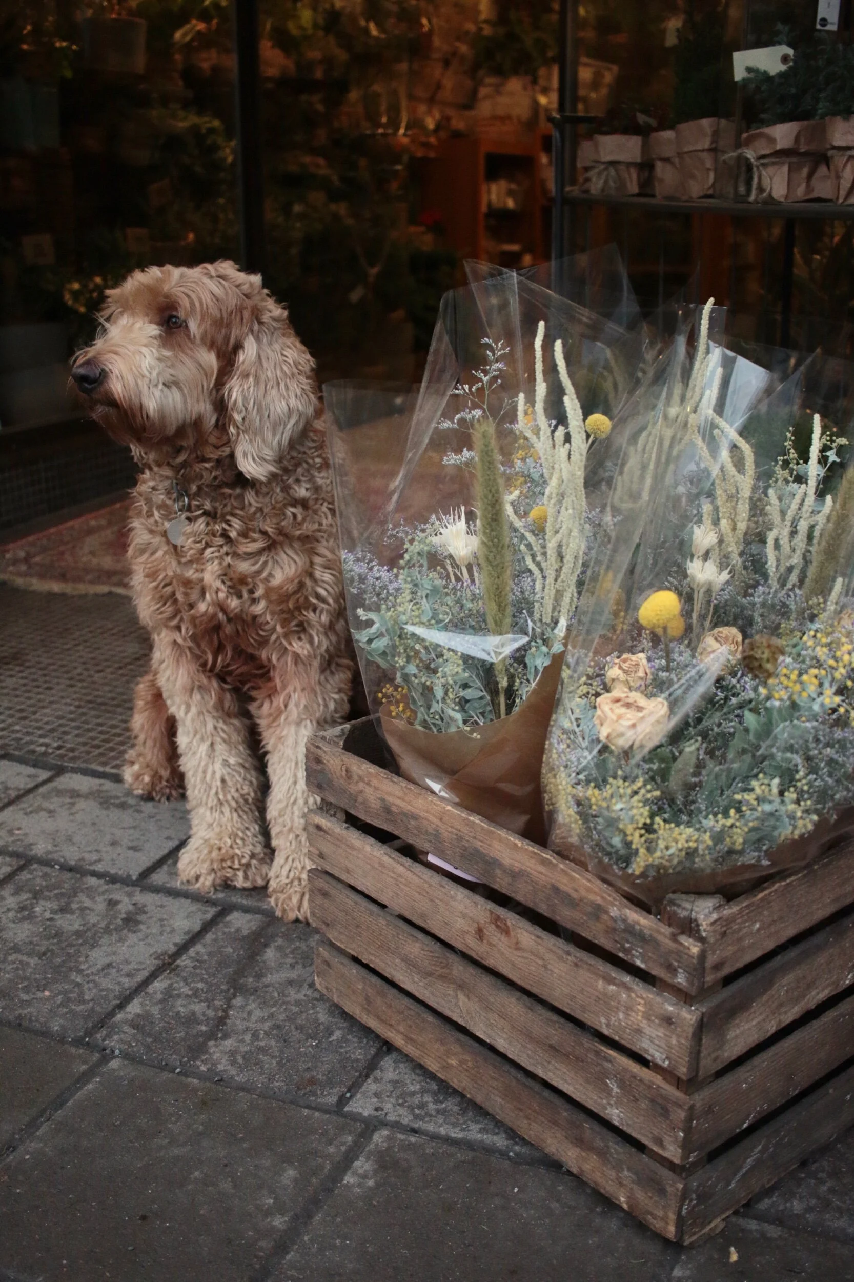  Valmiita kuivakukkakimppuja kukkakaupalla Linnankadulla. 