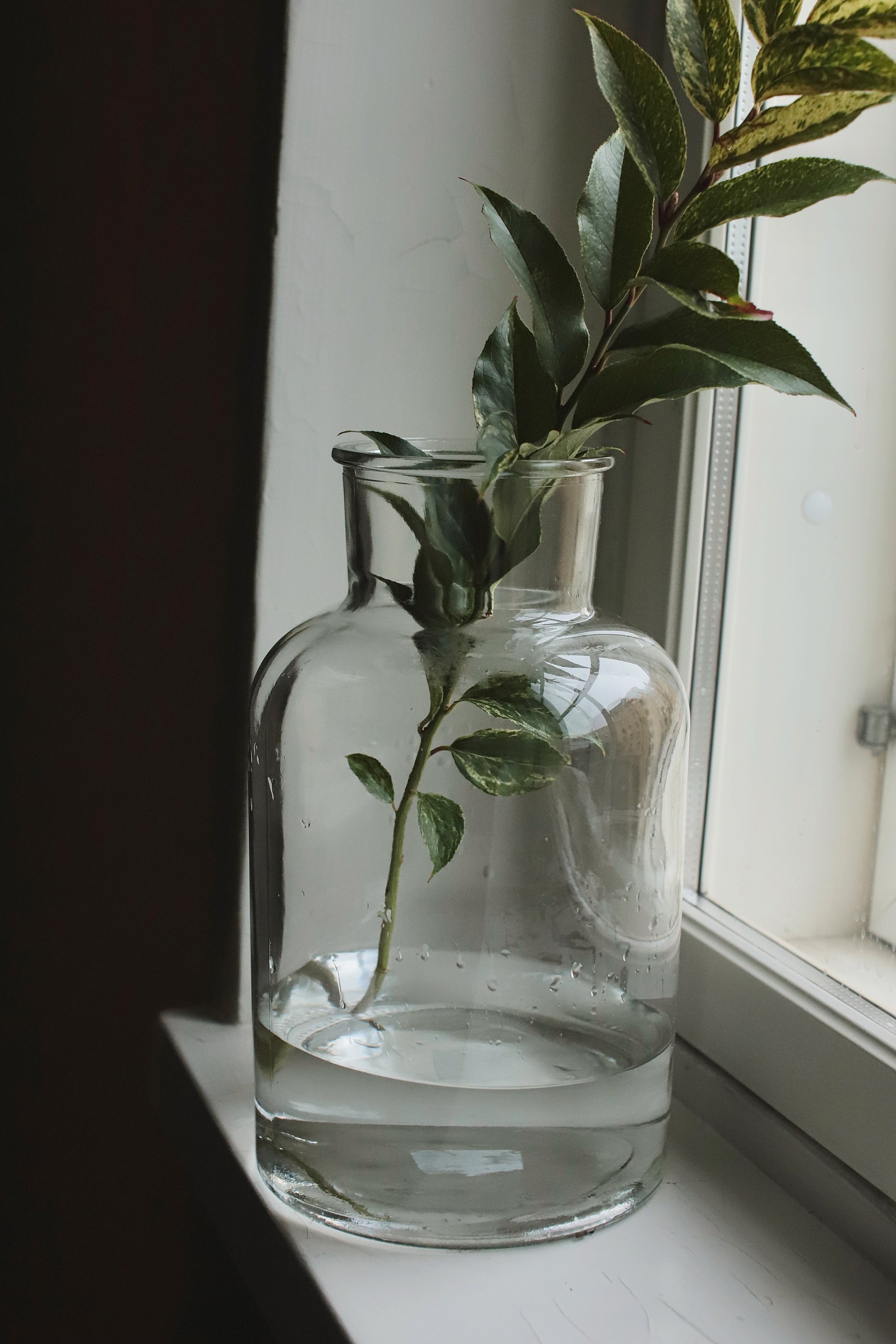 AfterlightImage - 2021-11-19T145919.938.JPG