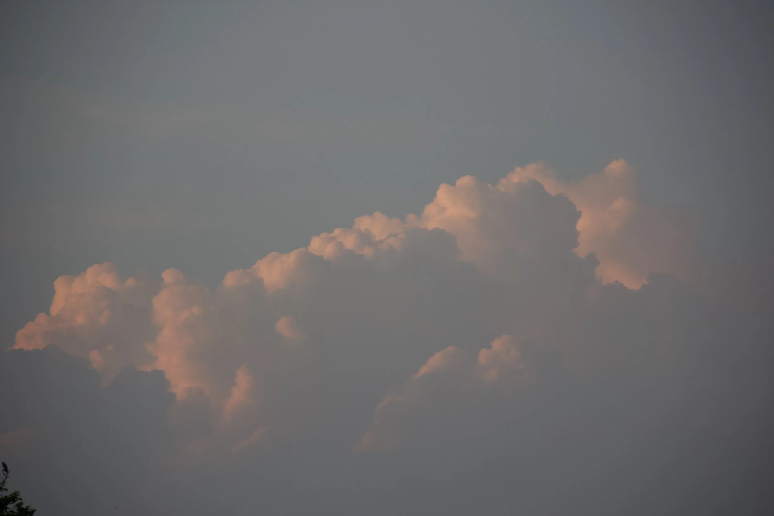 IMG_0359 copy.jpg