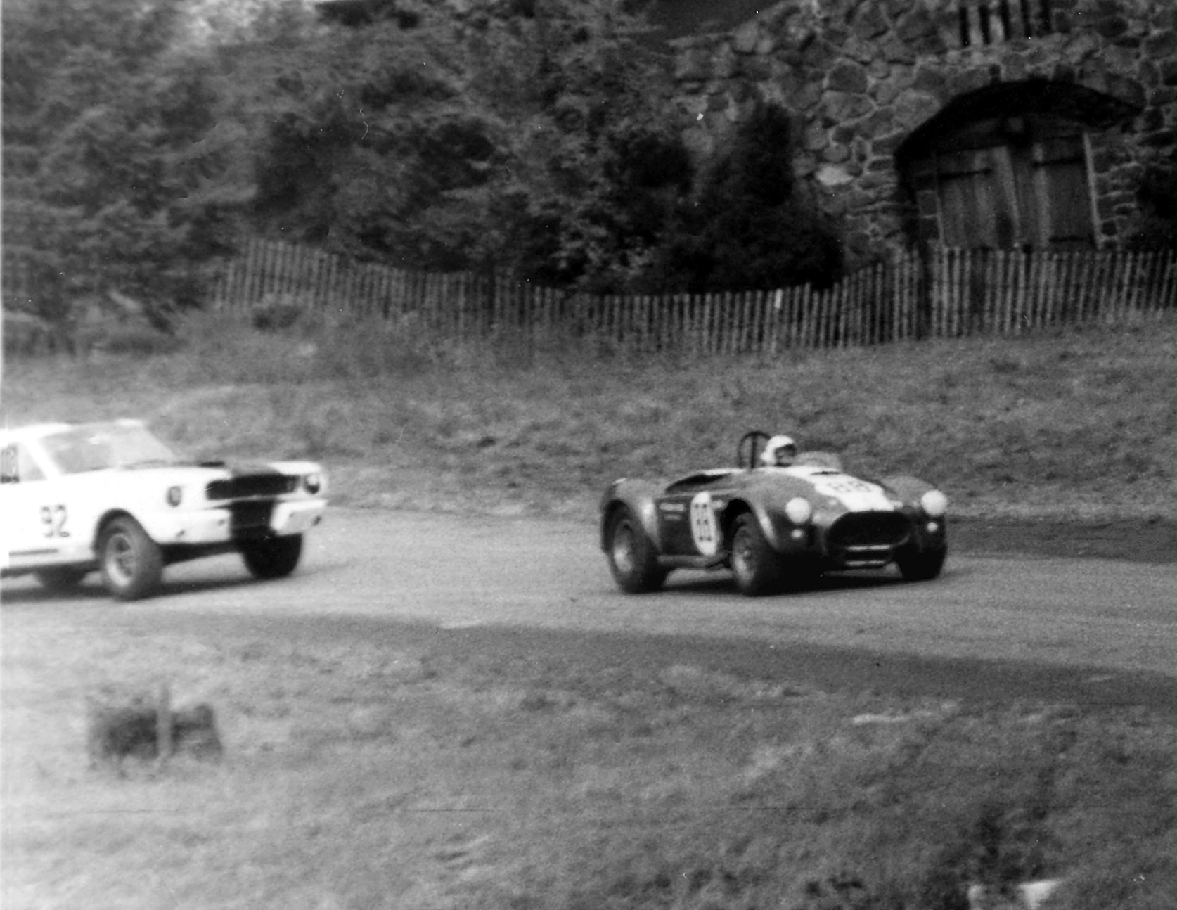65Reading Cobra&MustangV3.jpg