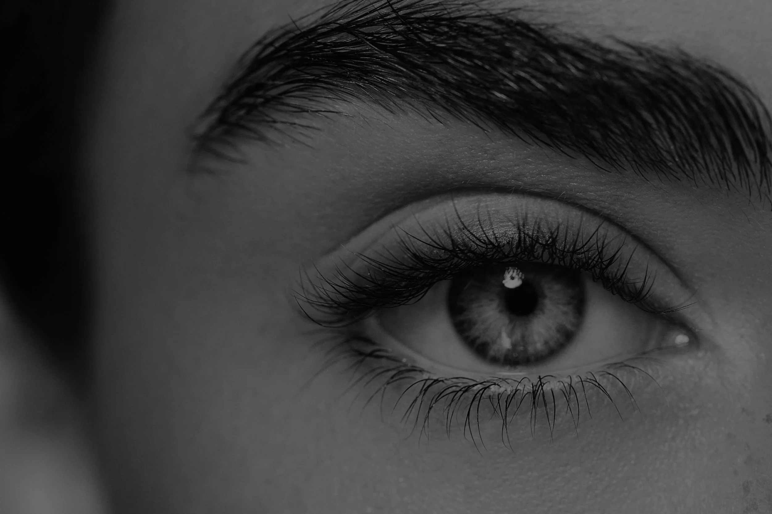 Eyes_Banner.jpg