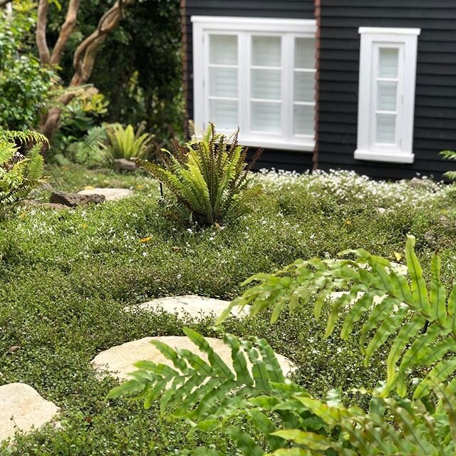 We're back at it!
Thankful to have made it through a tough time for New Zealanders and be back to work ⚒
If you have any landscape and construction works you would like done - get in touch, let's make it happen! 👊

#greenroomprojects #landscapeandconstruction #aucklandlandscaping #landscaping #outdoorconstruction