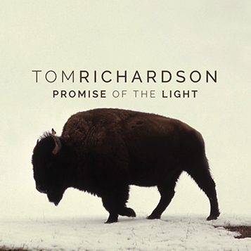 promise of the light.jpg