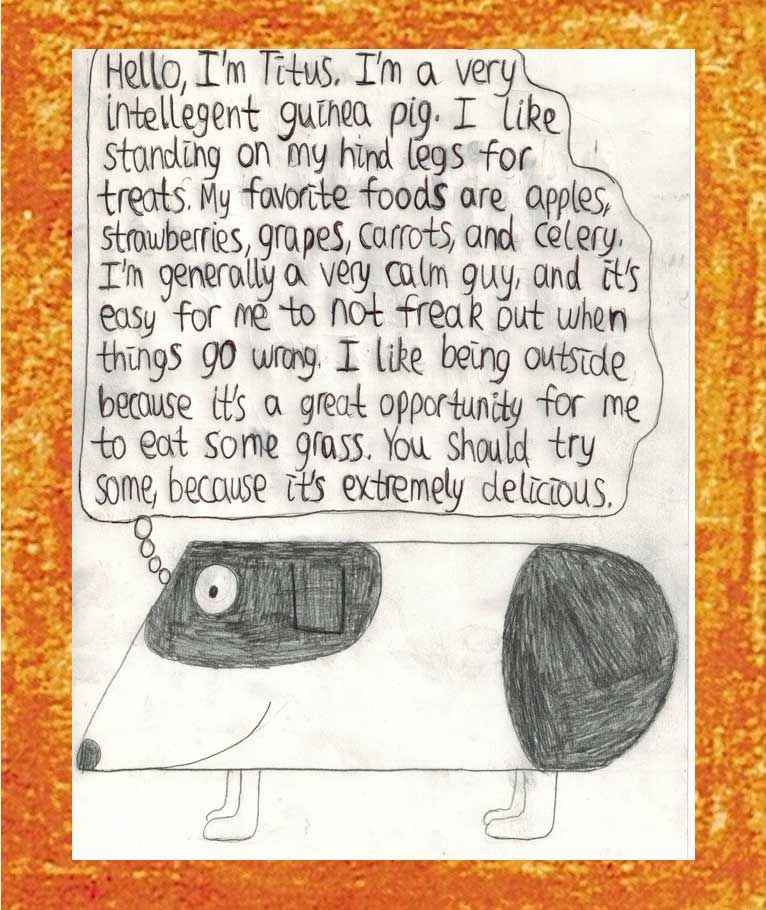 timmothy_Timm_book_5.jpg