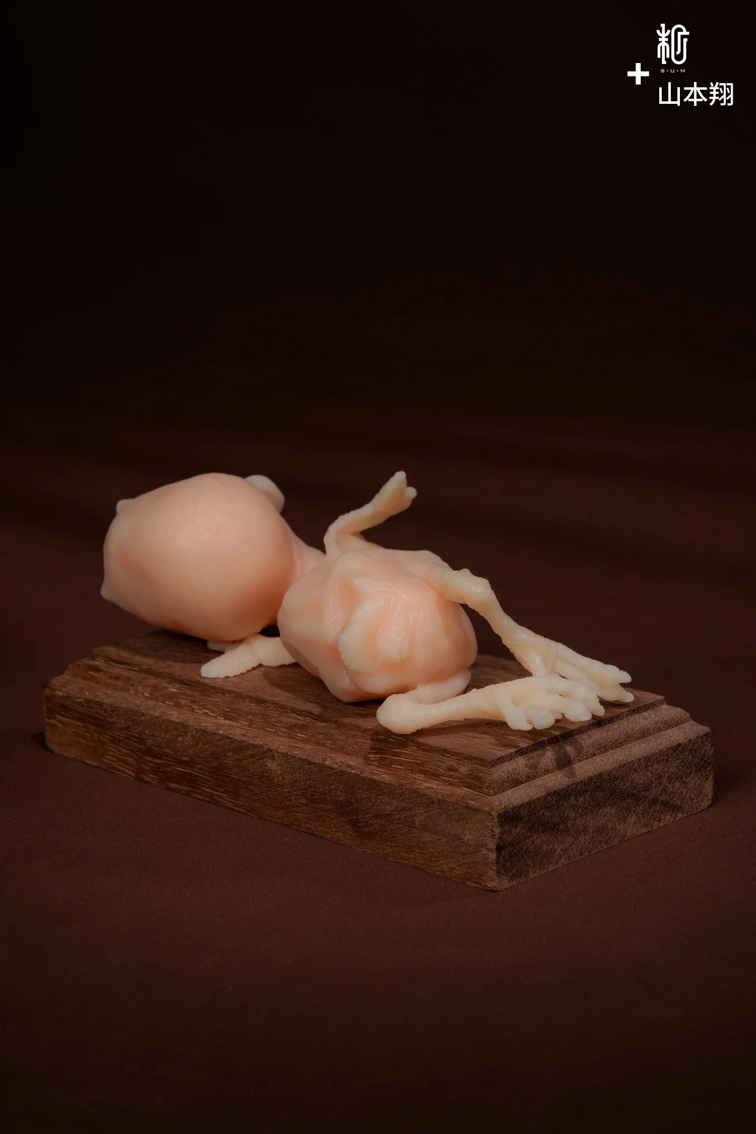 白模补拍-21.jpg