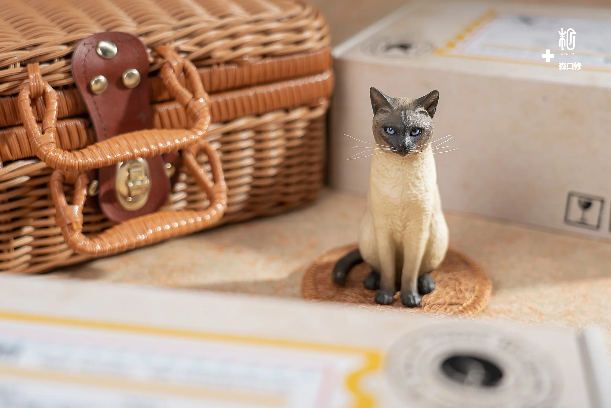 DSC00357.JPG