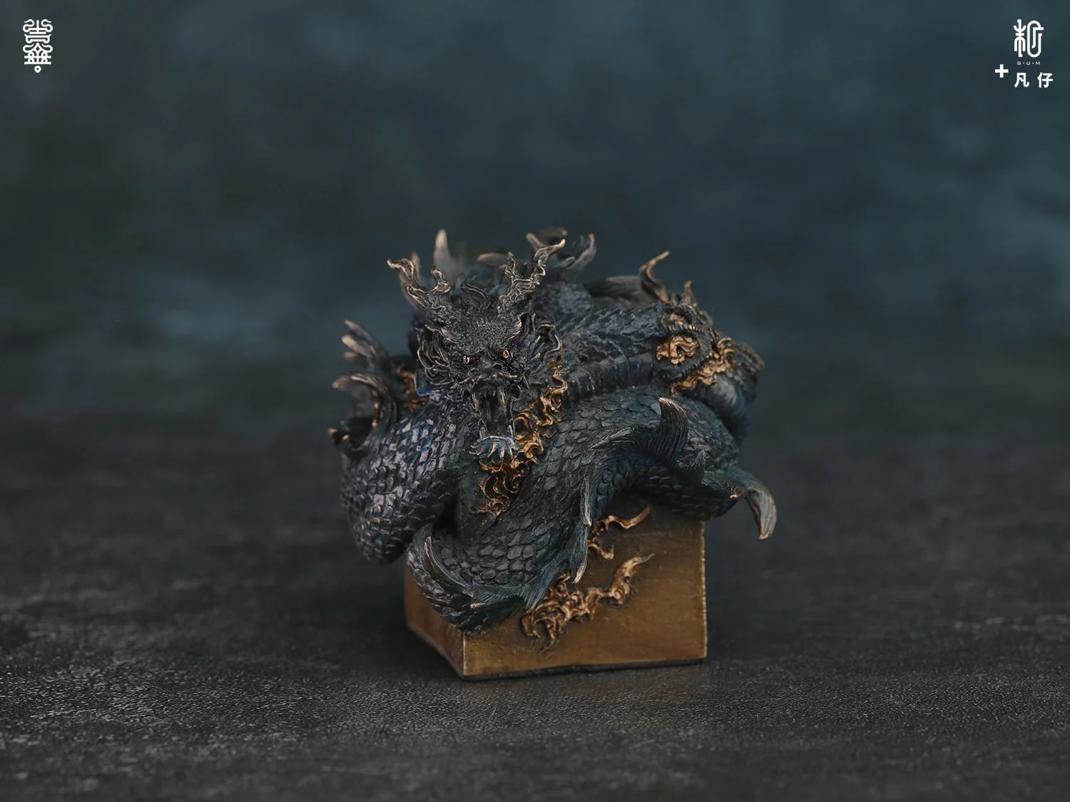 蟠龙v2-09.jpg
