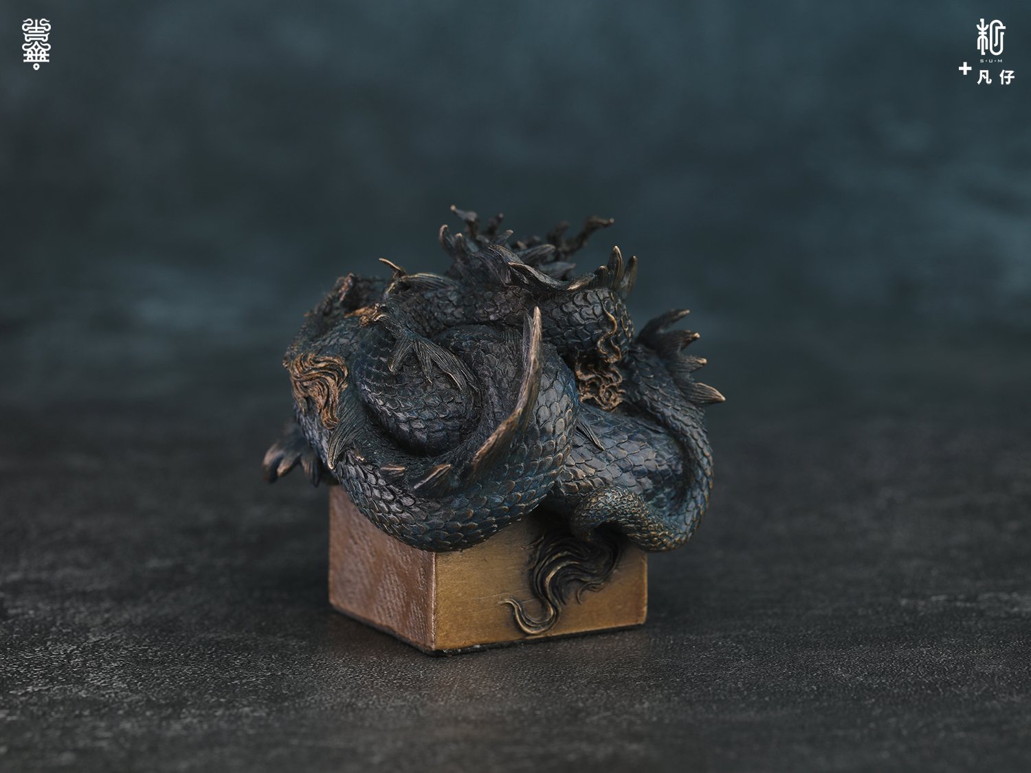 蟠龙v2-07.jpg