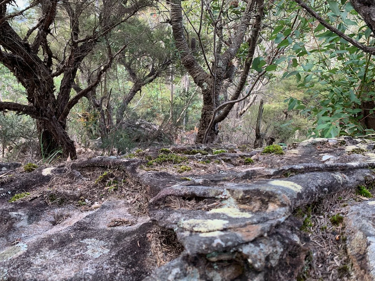 Marrai’gang and a Mountain Pilgrimage