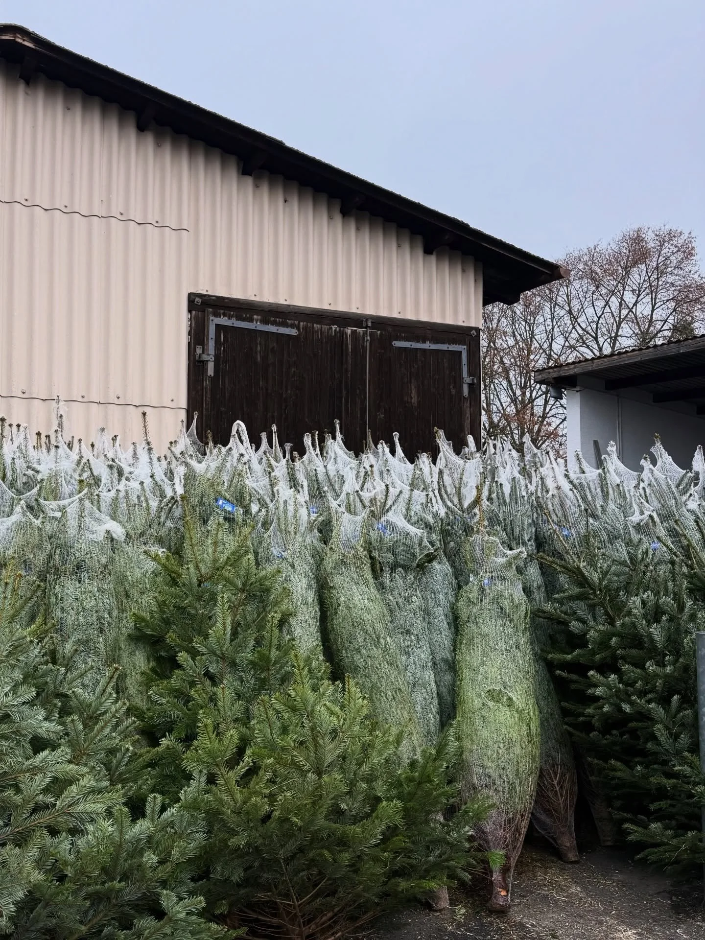 Christmas Weekends 🎄💫 Was machst du sch&ouml;nes am zweiten Advent? 🎅🏼