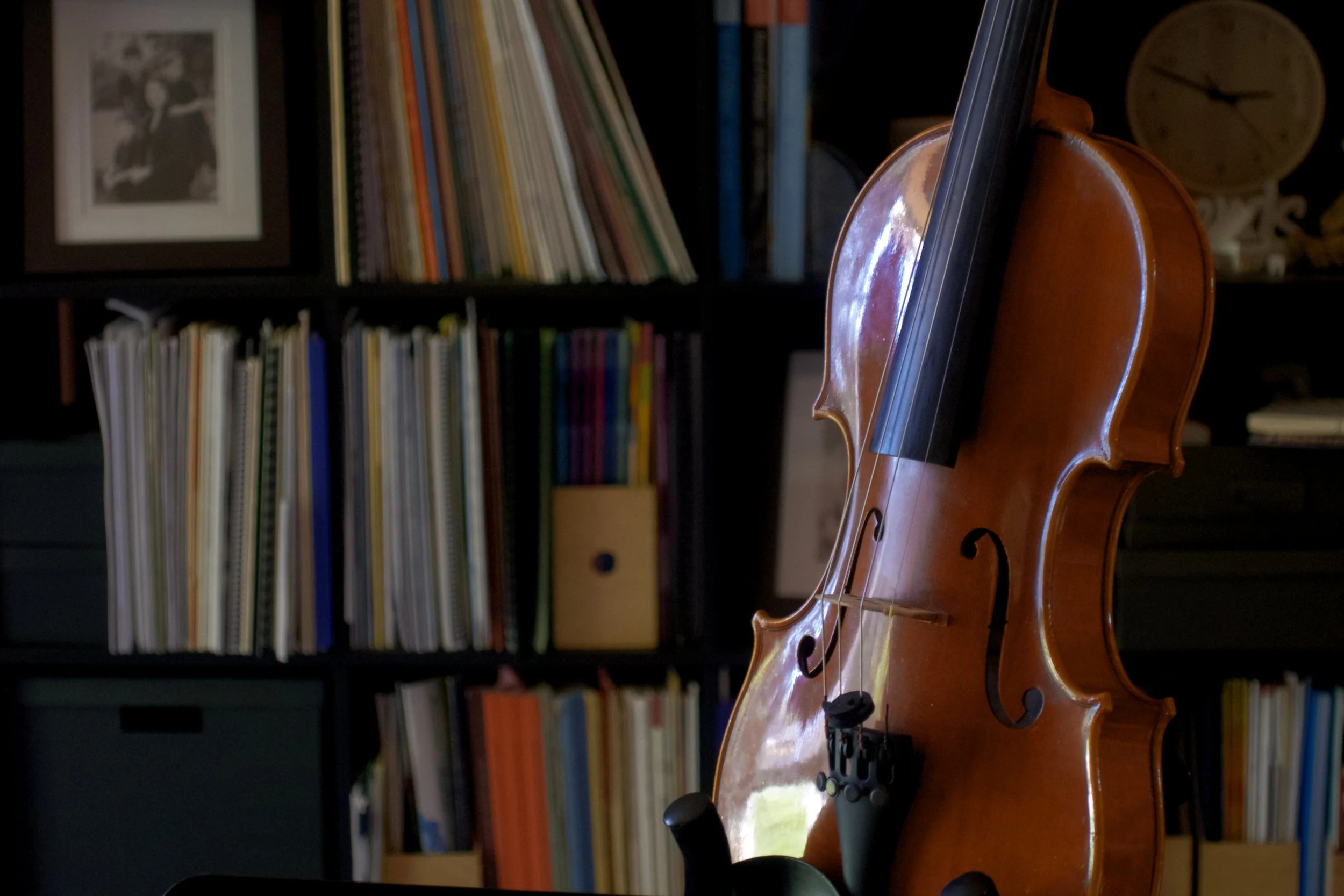violinShelf2.jpg