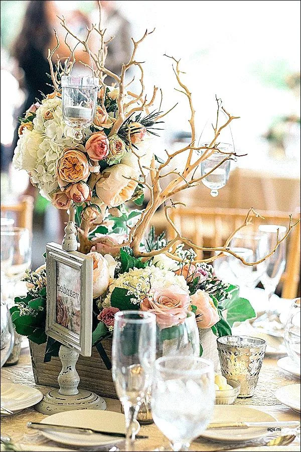 Rustic Tree Branch - Plain0.jpg