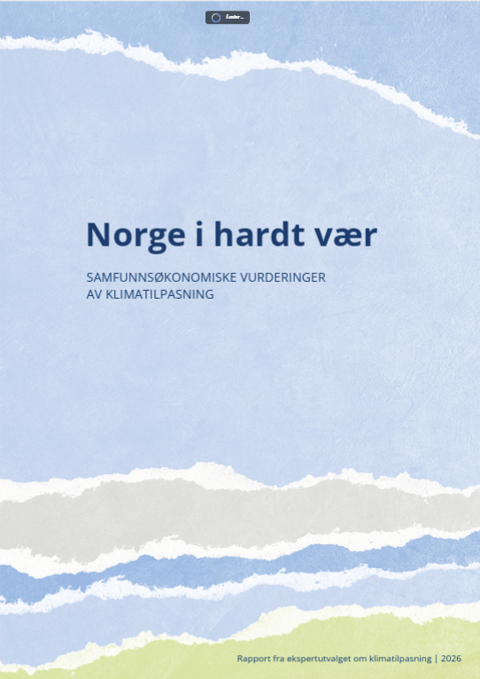 Skjermdump av rapporten, som du finner i sin helhet her.