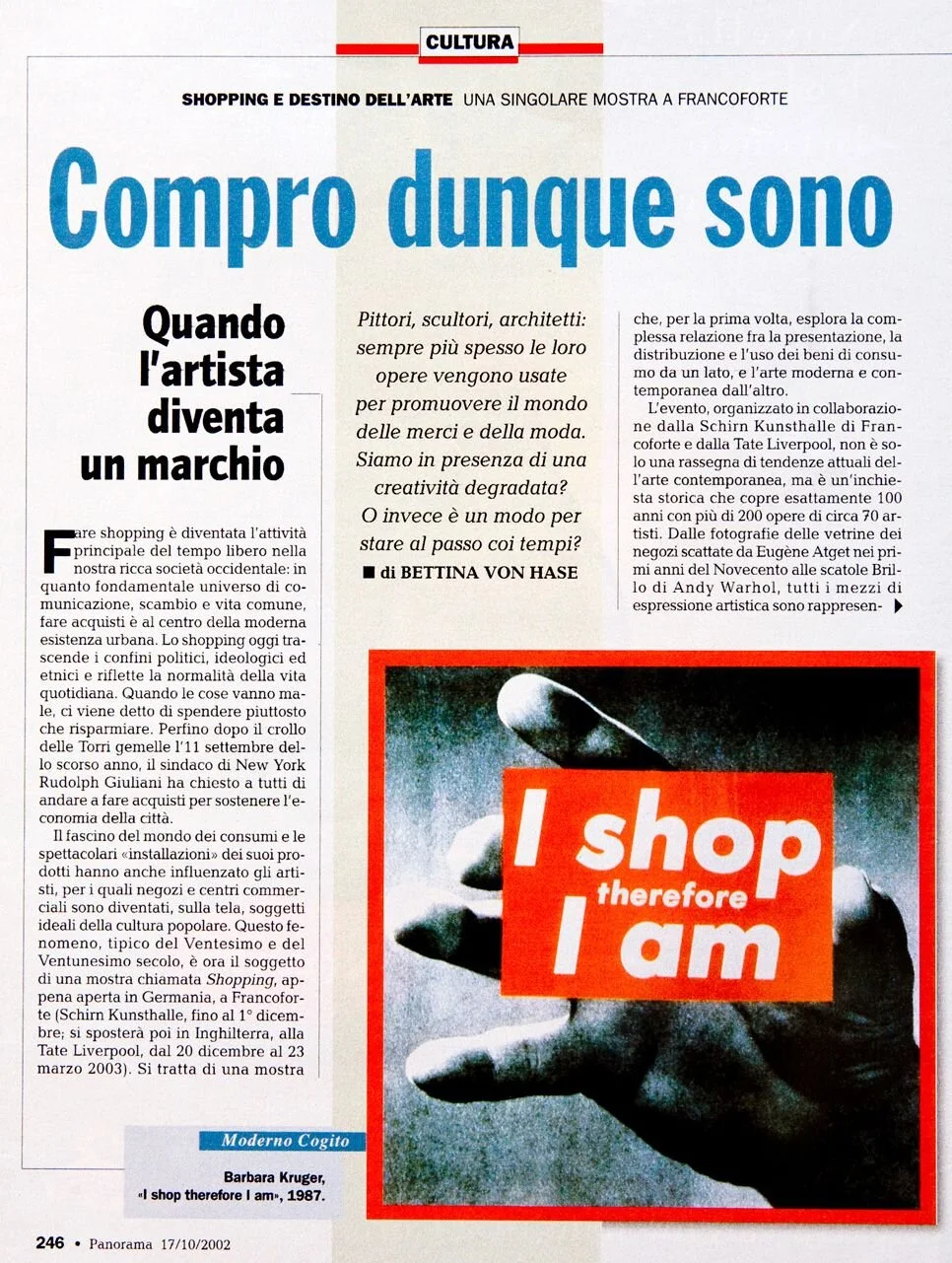 Compro dunque sono, Panorama