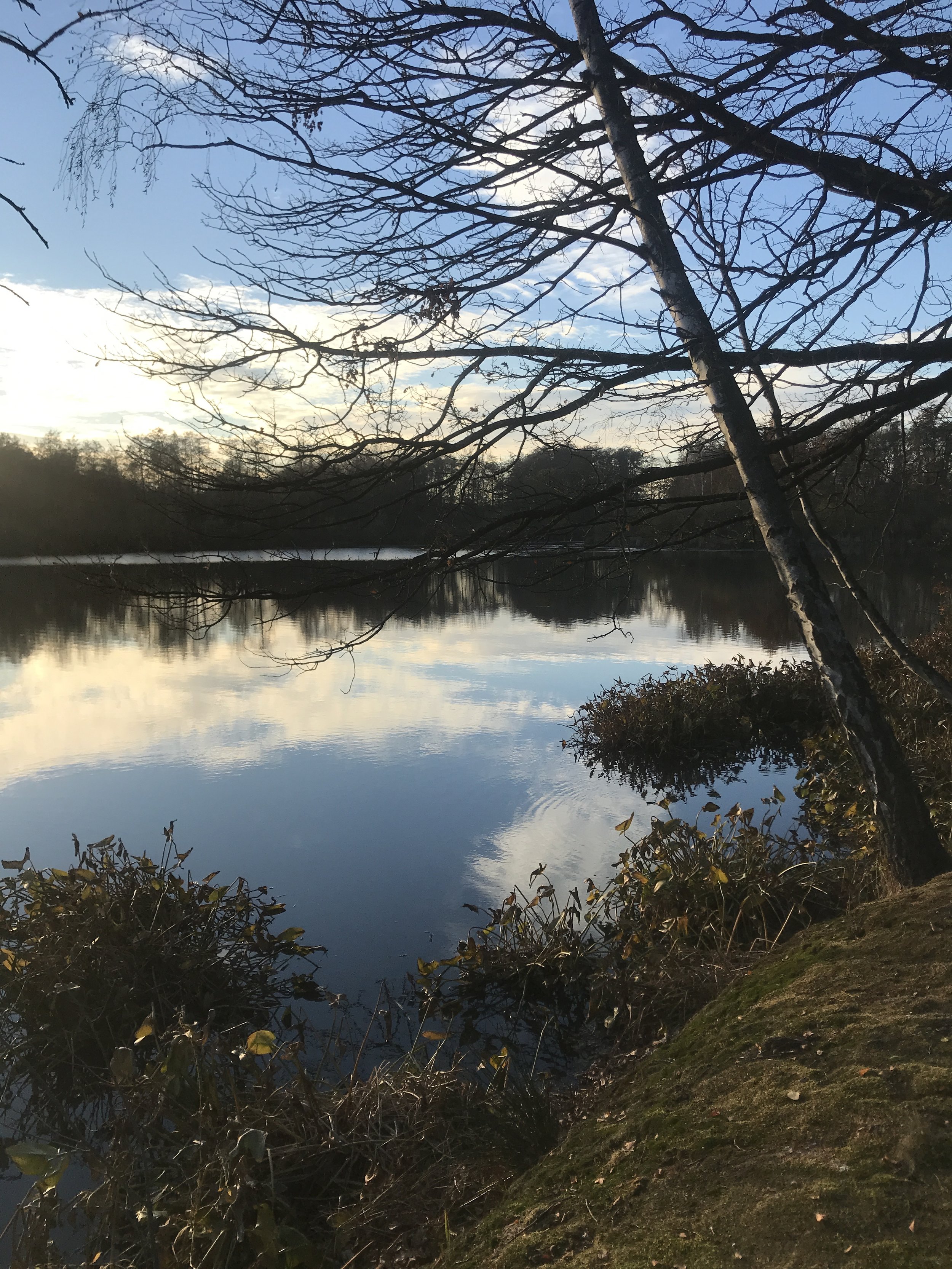 Foto 18-11-18 15 39 16.jpg