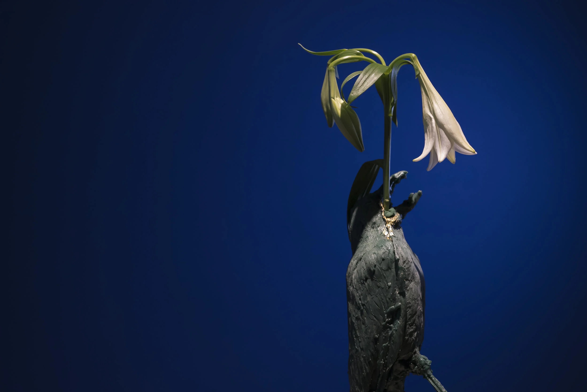 2 NMcCann_Vase#2.jpg