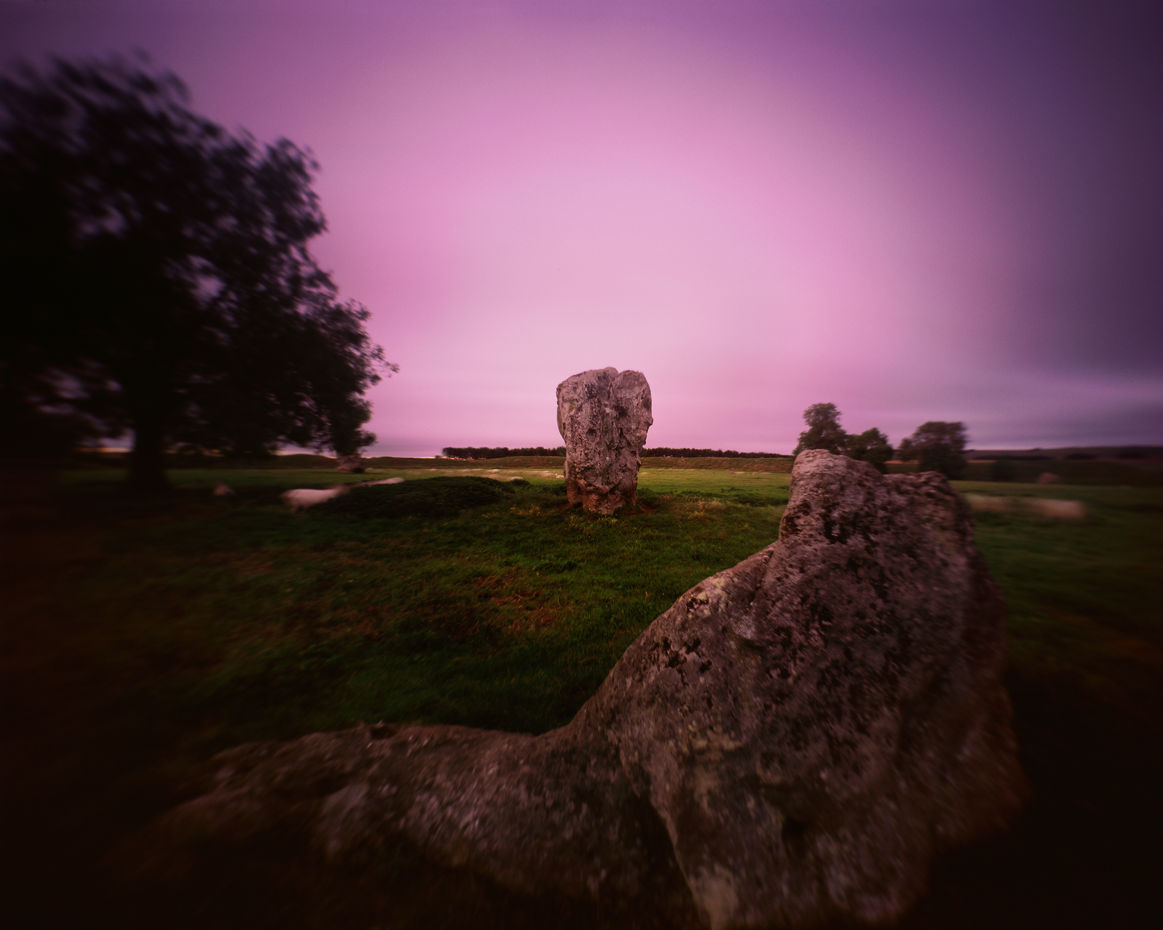 Inner Circle 2013 C-type print Edition of 4 76.2 x 96.5cms