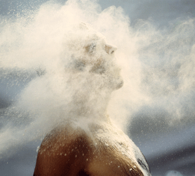Dust Breeding, 2008