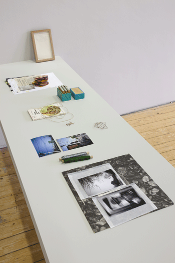 Fergus Feehily Open Inventory (2008) Objects, photographs, notes 