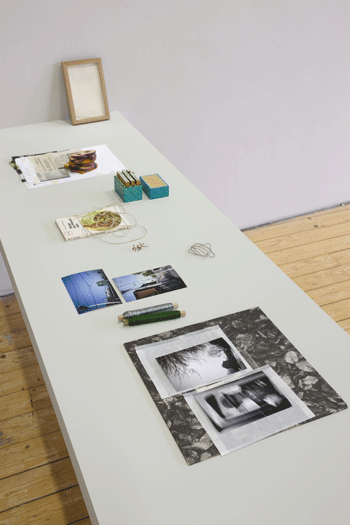 Fergus Feehily Open Inventory (2008) Objects, photographs, notes