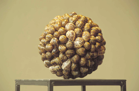 Detail of Snail Globe from the Four Directions (2005) Dimensions variable