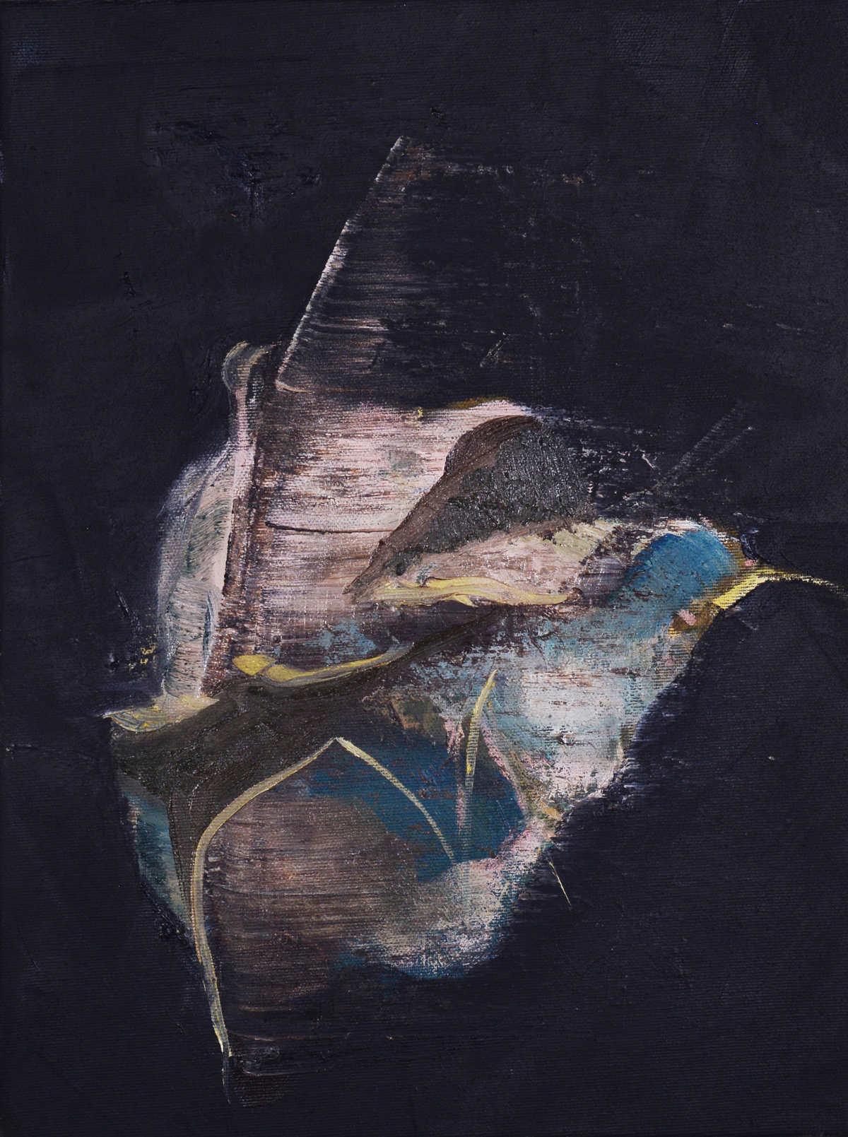 Flight, 2013, Oil on reversed black primed canvas, 40 x 30 cm 
