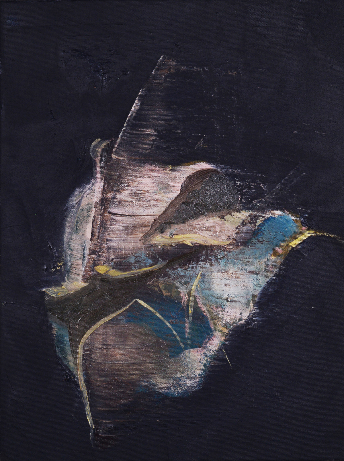 Flight, 2013, Oil on reversed black primed canvas, 40 x 30 cm