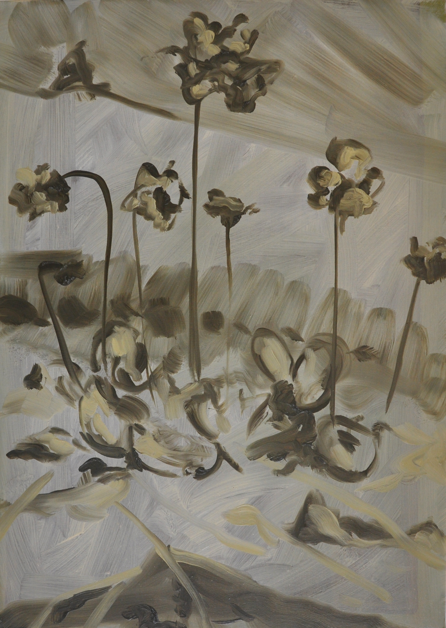 Irish Butterwort, 2011, Oil on cotton, 70 x 50 cm