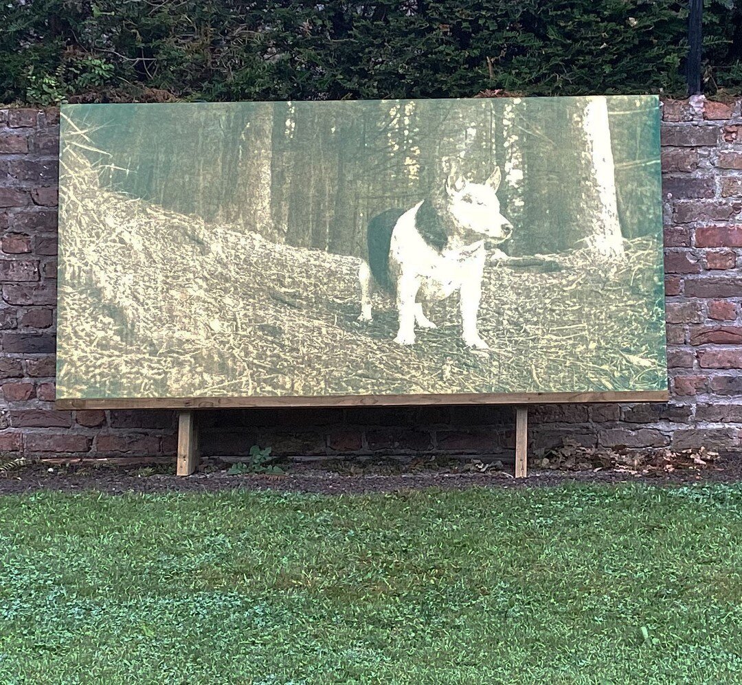 Niamh McCann  Live Performance &amp; 4 day exhibition ( part 3, Cork ) Friday 22 March, 6.30 sharp.  Image : Niamh McCann &quot; Naming is power, Mapping is power, Boundaries are power ( Green dog ) &quot; 
( 2023 )  Silkscreen on polished brass  100