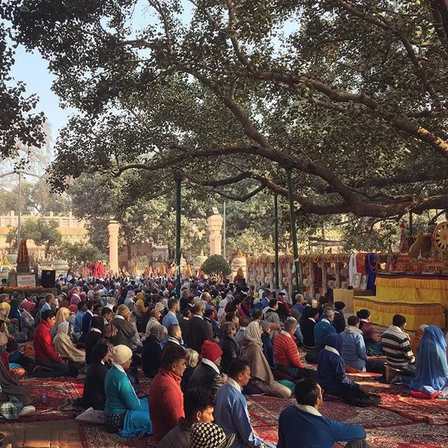 Members of the Triratna Buddhist Order meditating beneath the Bodhi Tree at Both Gaya, India