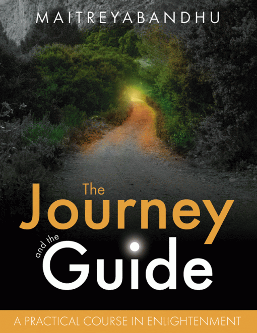 journey_for_web-510x662.gif