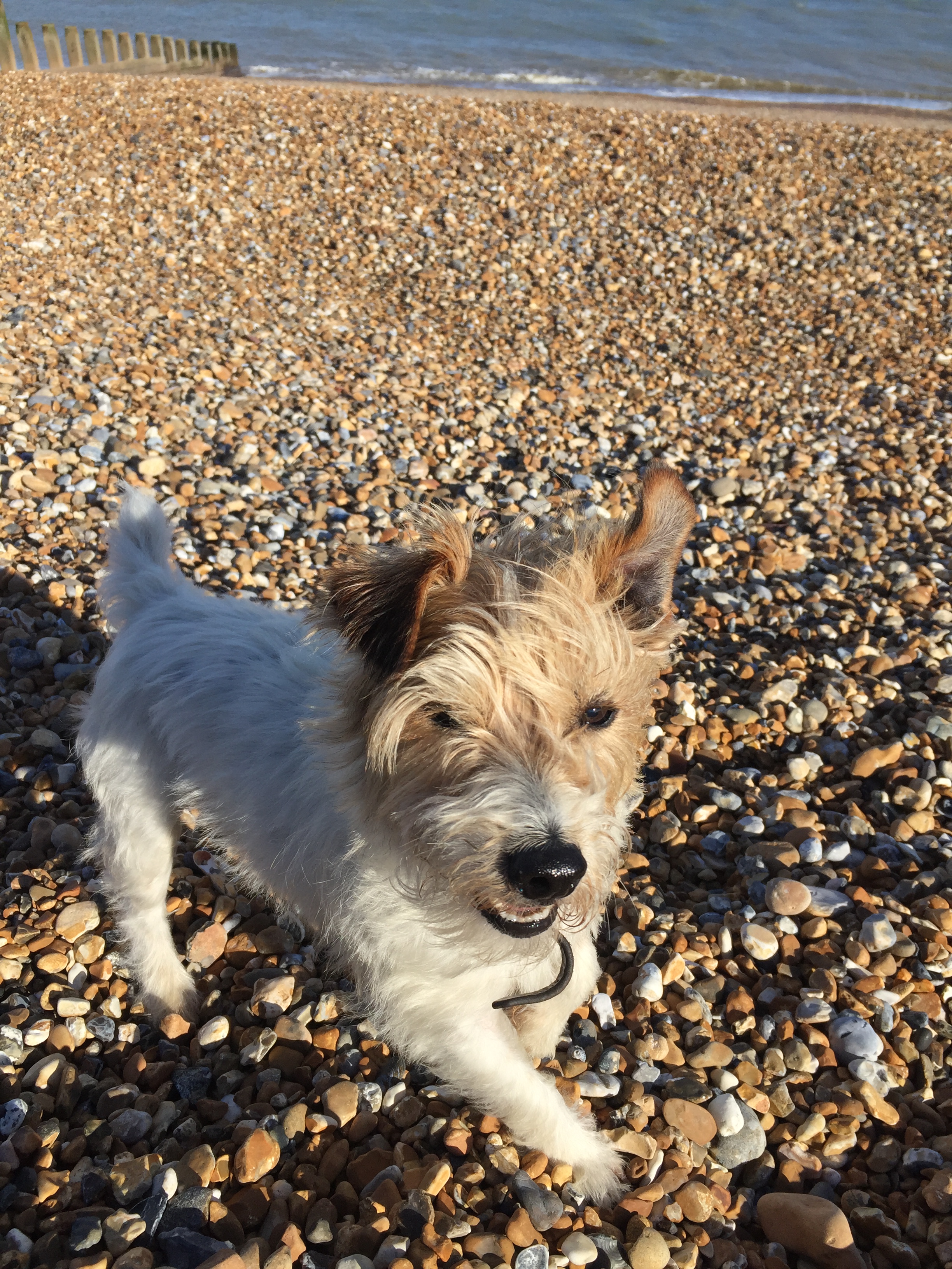 image160.jpeg