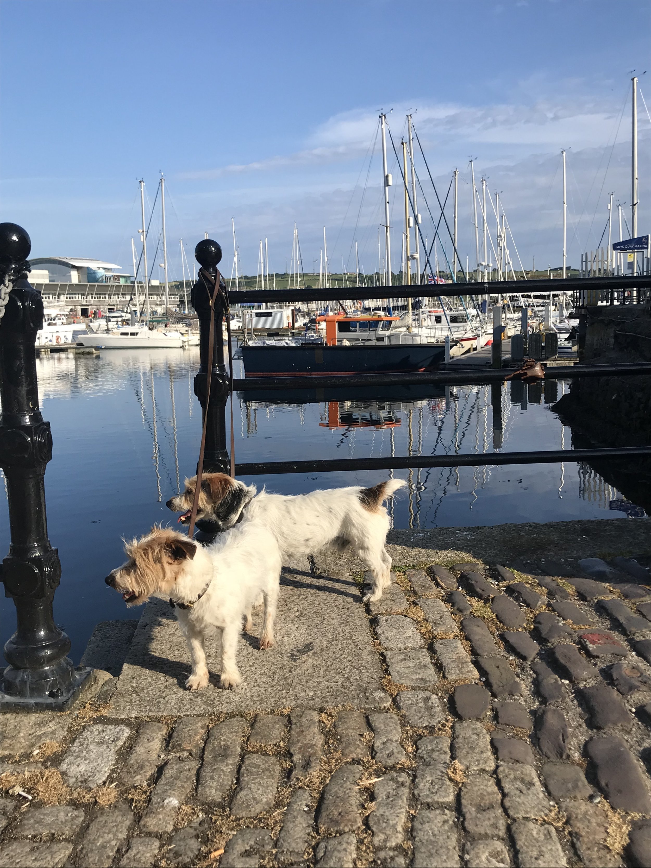 Queen Anne Battery Marina