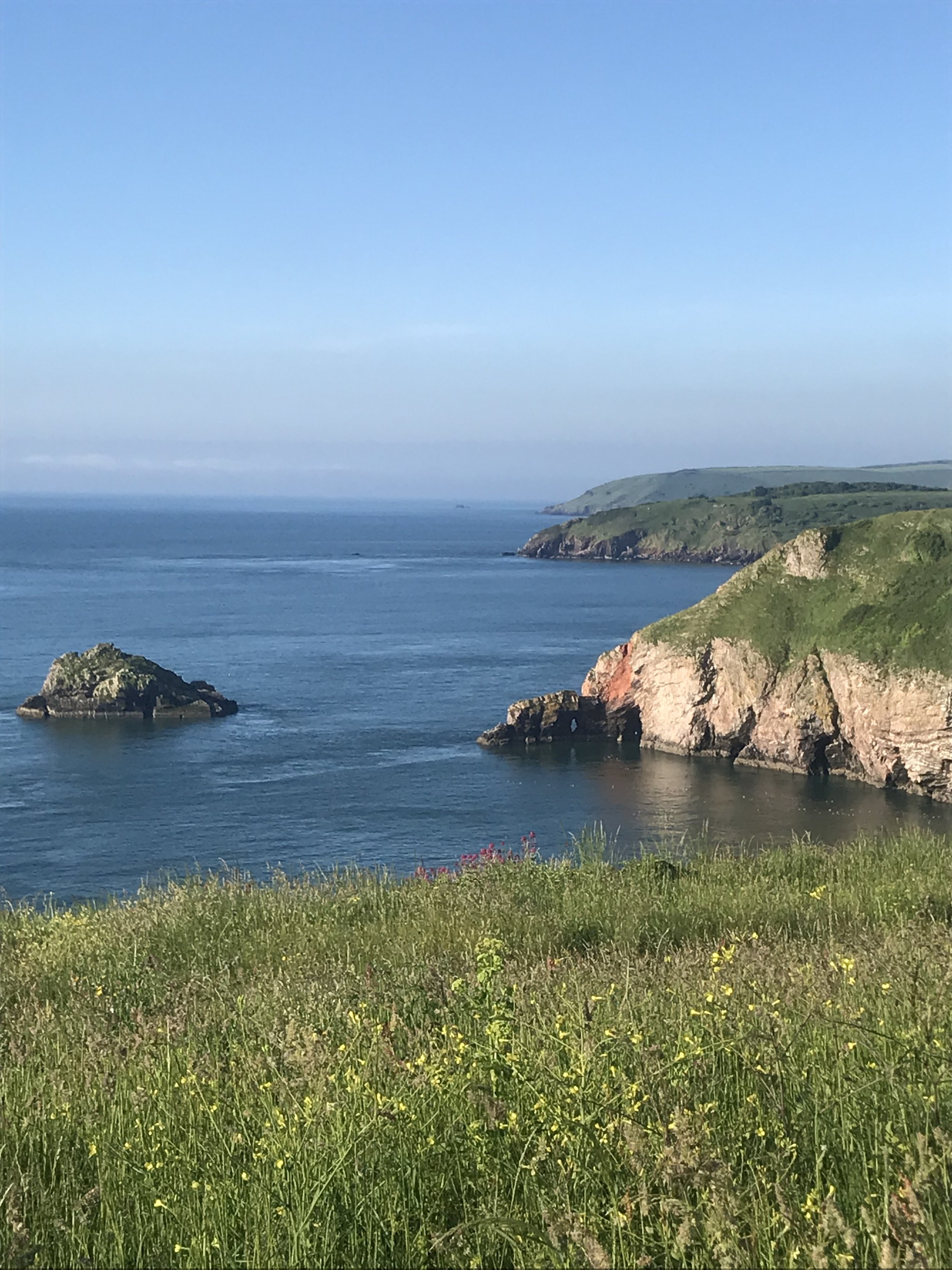 View from Berry Head West