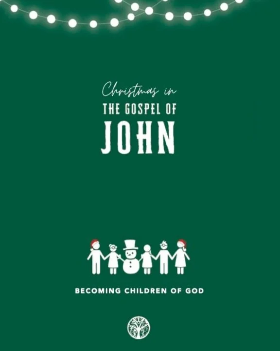 John 1:6-13