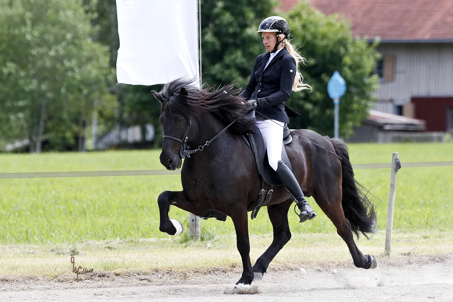 WM Qualifikationsturnier am Alpenhof