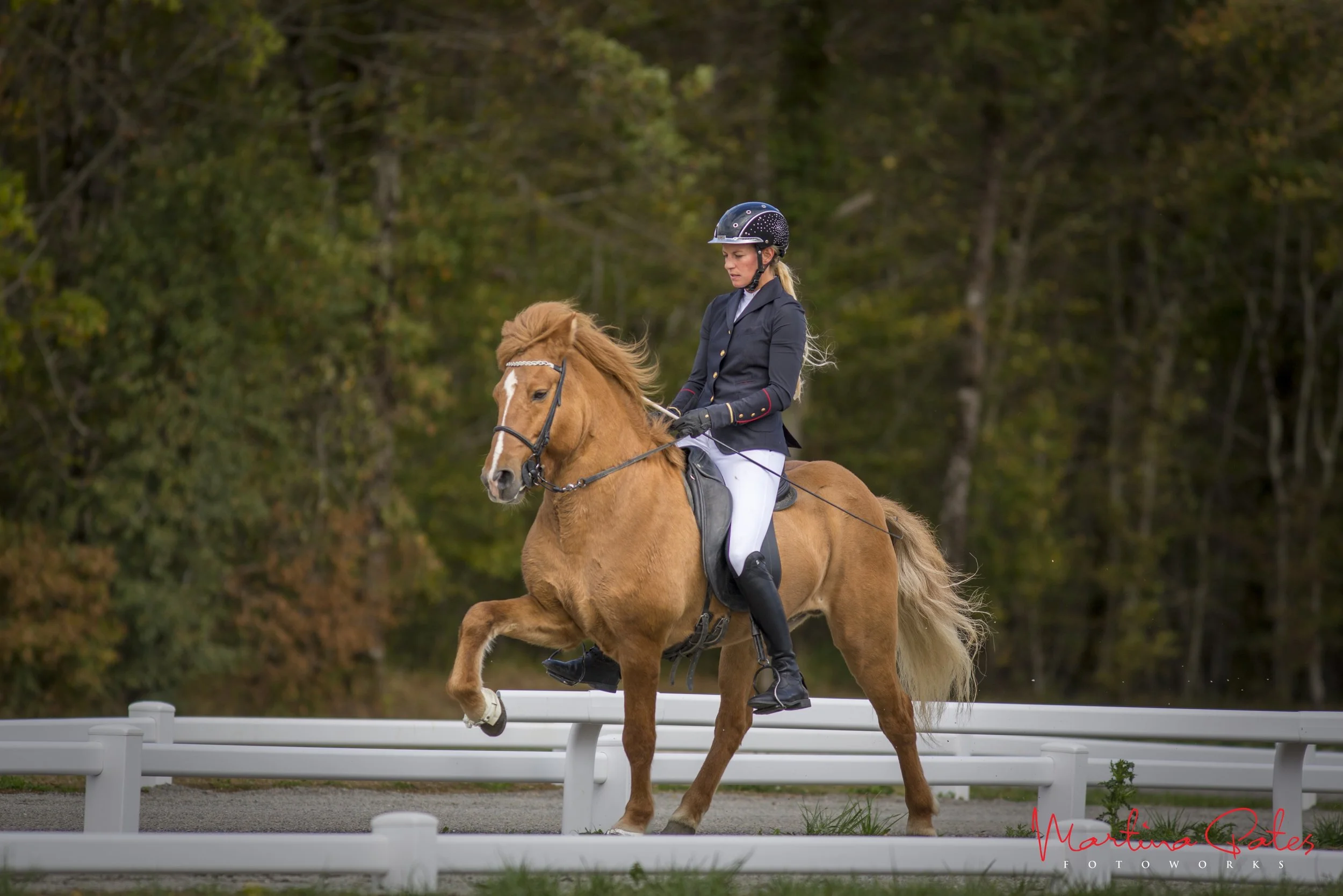 Einladungsturnier PurCheval