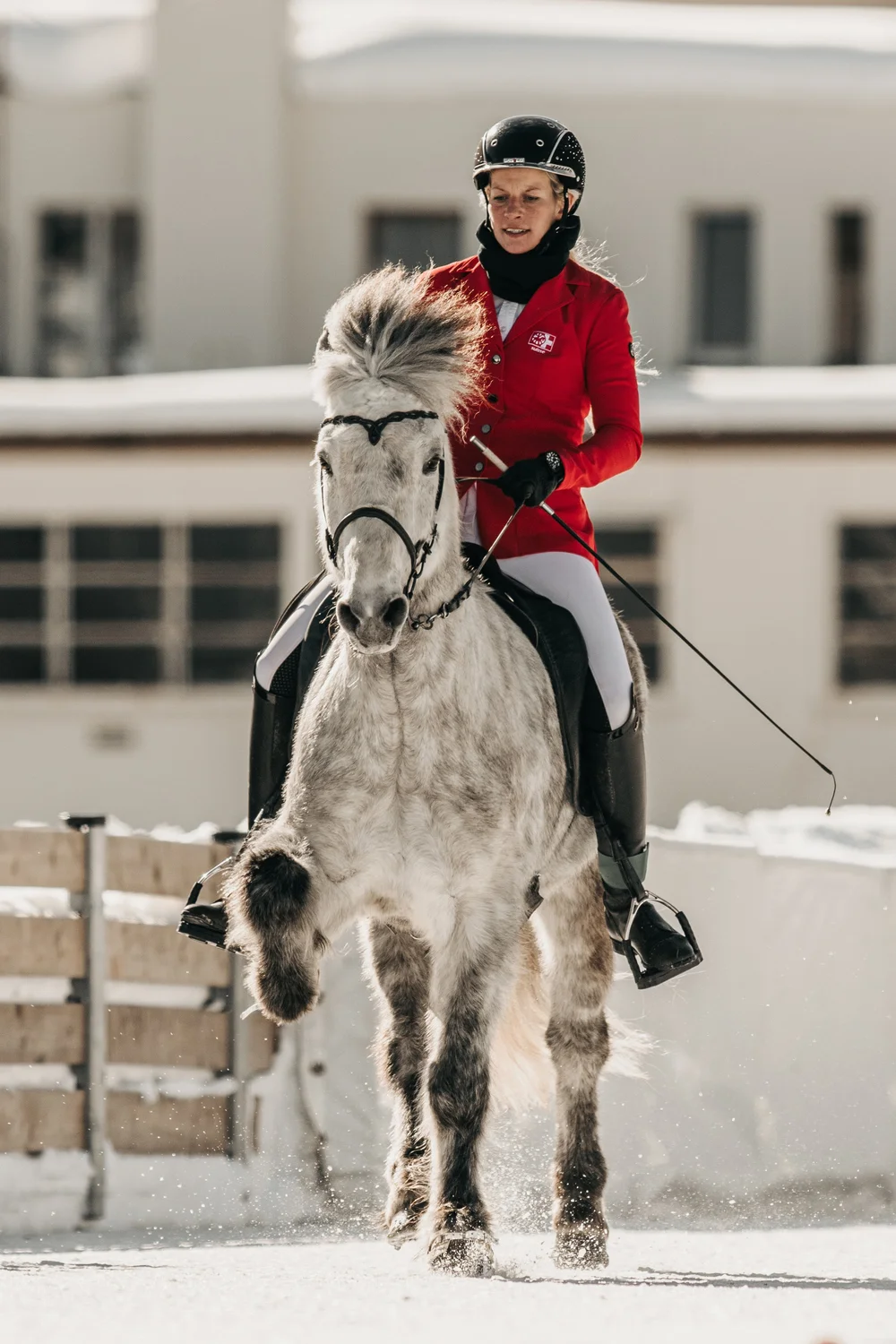 Tölt Fire and Ice Vera-9.JPEG