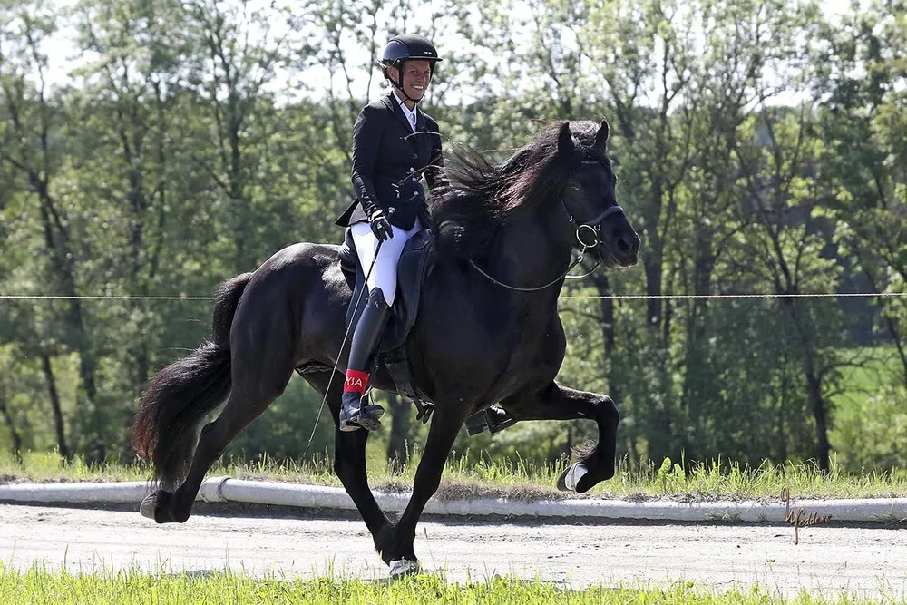 Villingur vom Schlossberg